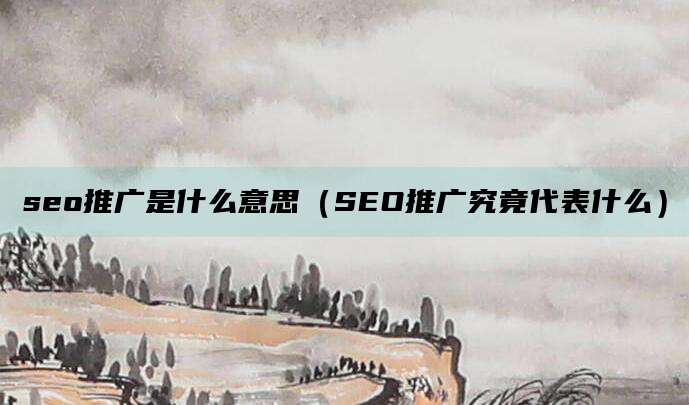 seo推广是什么意思（SEO推广究竟代表什么）