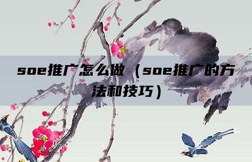 soe推广怎么做（soe推广的方法和技巧）