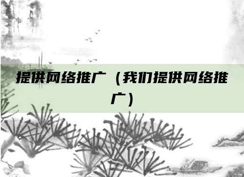 提供网络推广（我们提供网络推广）