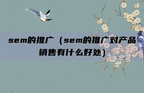 sem的推广（sem的推广对产品销售有什么好处）