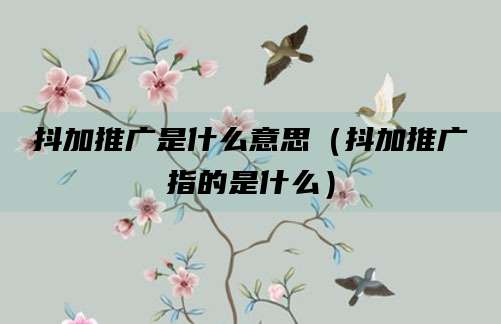 抖加推广是什么意思（抖加推广指的是什么）