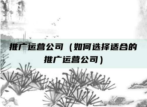 推广运营公司（如何选择适合的推广运营公司）