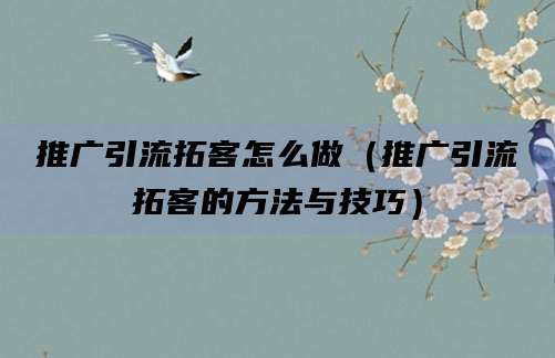 推广引流拓客怎么做（推广引流拓客的方法与技巧）