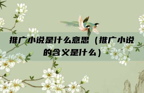 推广小说是什么意思（推广小说的含义是什么）