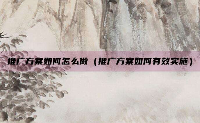 推广方案如何怎么做（推广方案如何有效实施）