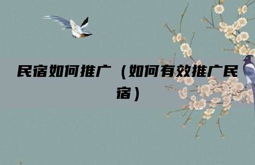 民宿如何推广（如何有效推广民宿）