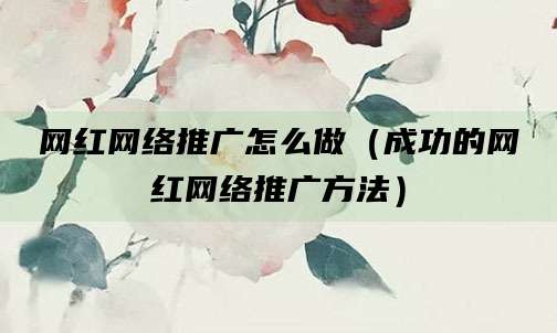 网红网络推广怎么做（成功的网红网络推广方法）