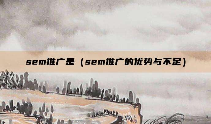 sem推广是（sem推广的优势与不足）