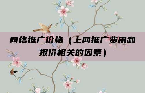 网络推广价格（上网推广费用和报价相关的因素）