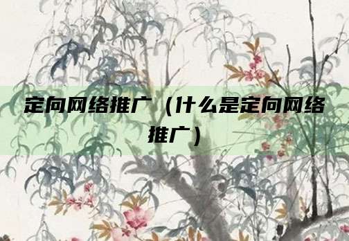 定向网络推广（什么是定向网络推广）