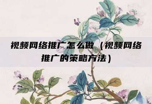 视频网络推广怎么做（视频网络推广的策略方法）