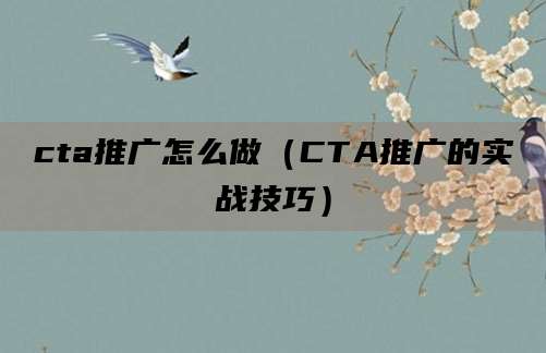 cta推广怎么做（CTA推广的实战技巧）