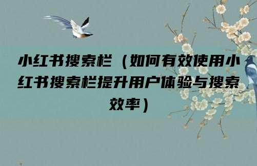 小红书搜索栏（如何有效使用小红书搜索栏提升用户体验与搜索效率）